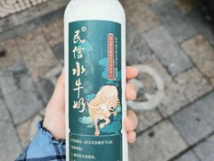 水牛奶-民信老铺(双皮奶博物馆店)