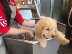 -PETKIT小佩宠物(古北店)