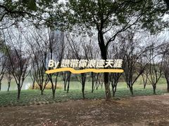-艾溪湖湿地公园
