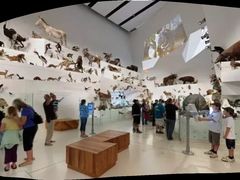 -墨尔本博物馆(Melbourne Museum)