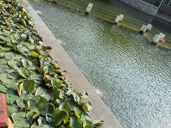 -北岭山森林公园