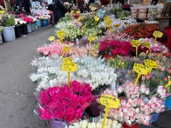 -循礼门鲜花花市(武汉循礼门店)