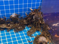 -加尔森烤肉海鲜·火锅烧烤自助