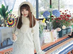 -枫林花海