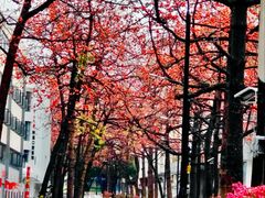 -烈士陵园(地铁站)