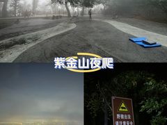 -紫金山山顶公园