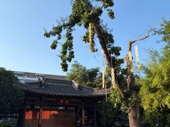 -盂城驿-南门大街