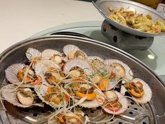 -海派美食·家宴海鲜青岛菜·石锅鲽鱼头(东方城店)