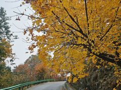-北京鹫峰国家森林公园