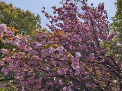 -南京市江宁方山