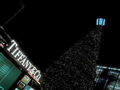 -Tiffany & Co.蒂芙尼
(南京德基广场店)