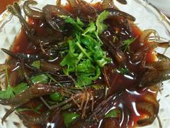 -全乐鱼馆·淳牌有机鱼直营店