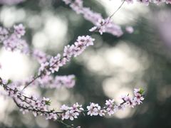 -尚贤河湿地
