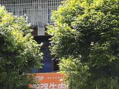 -智强牛肉面
