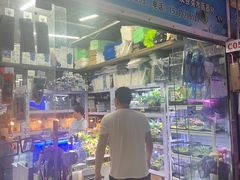 -朝来春花卉市场