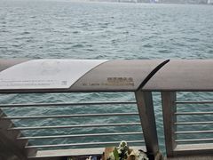 -星光大道