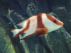 -福州罗源湾海洋世界旅游区