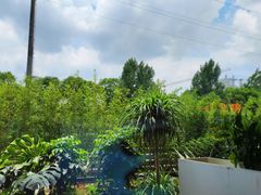 -观宴·品质赣菜(高新大道店)