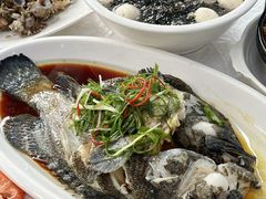 -众味海鲜大排档·活海鲜·潮汕味(南澳店)