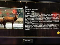-北京麋鹿生态实验中心