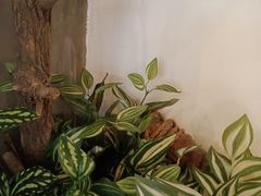 -湘当爱·鲜煮现炒(松岗立业路店)