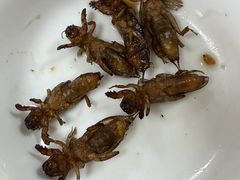 -天强农家菜馆