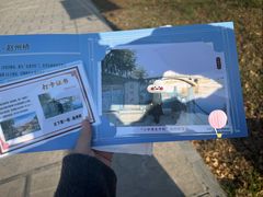 -赵州桥景区