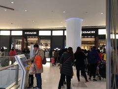 -COACH蔻驰(恒隆广场店)