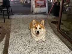 -肥朵食堂(带梦胡同店)