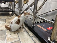 -福合埕牛肉丸(福平路店)