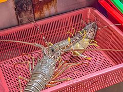 -班赞海鲜市场