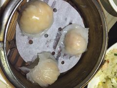 糖朝-糖朝(尖沙咀店)