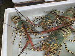 -拉威海鲜市场