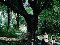 -成都市活水公园