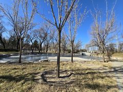 -大兴滨河森林公园