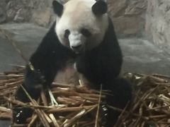 -老码头火锅(骡马市店)