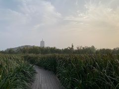 -永定河休闲森林公园