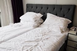 -海豚湾高端月子会所(黄浦店)