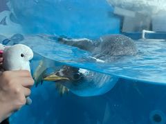 -泉城欧乐堡海洋极地世界