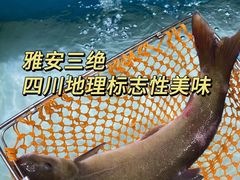 -盒马鲜生(莱蒙都会店)