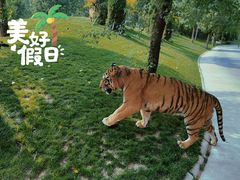 -北京野生动物园