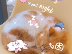 -怪兽屋·羊驼·猫咖·狗咖(俊华广场店)