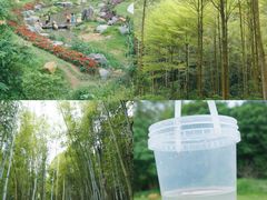 -黄埔油麻山森林公园