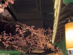 -荷塘秋月·本帮江浙菜(国权路店)