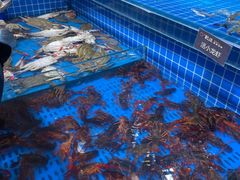 -乔哥铭洋海鲜自助(皇城恒隆广场店)