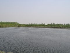 -溱湖国家湿地公园