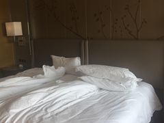 -上海中航虹桥机场泊悦酒店