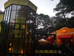 -三鹰之森吉卜力美术馆