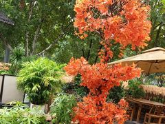 -后湖小院·乡野田园菜