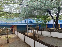 -秦皇岛野生动物园